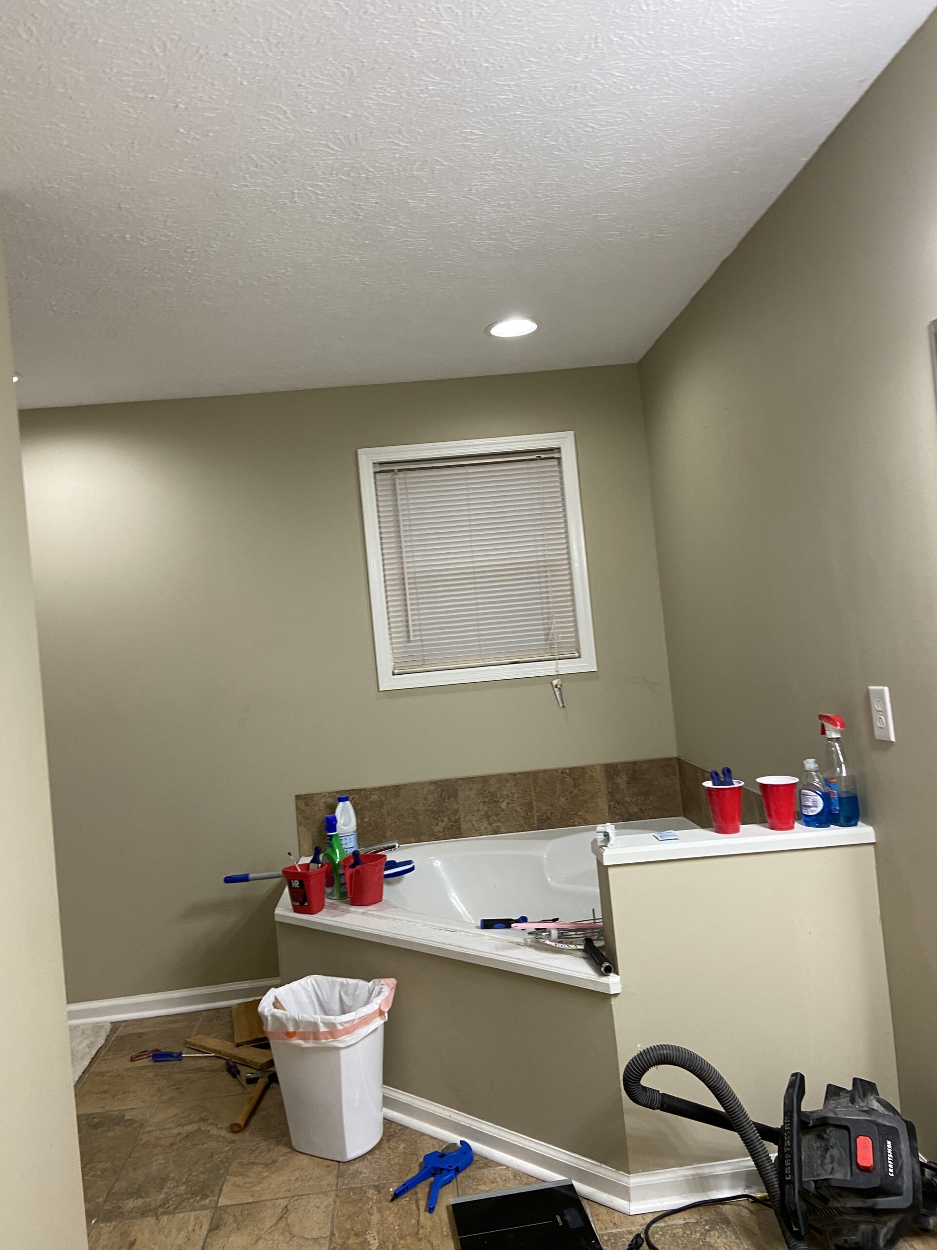 Bathroom remodel