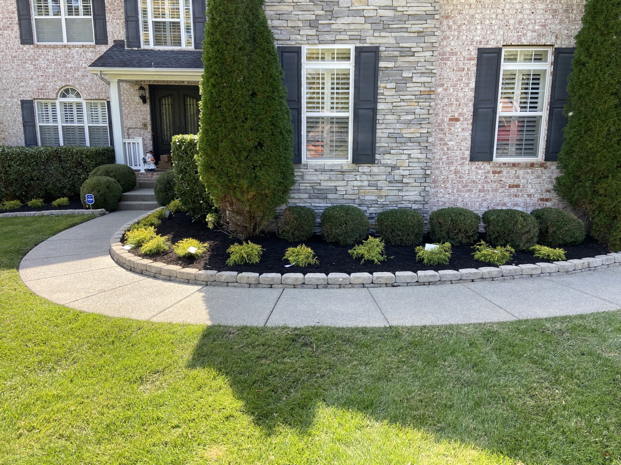 Shrub, mulch replacement